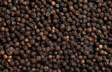 Spices
